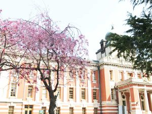 名古屋市政資料館　住宅の太陽光発電の研修　